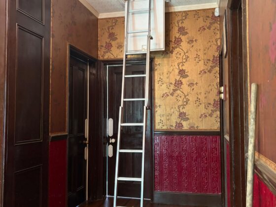 Loft ladder fitted and lowered onto the landing