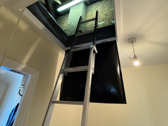 Loft ladder fitted and lowered onto the landing