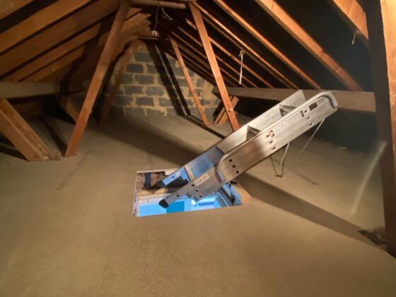 Loft ladder fitted and lowered onto the landing