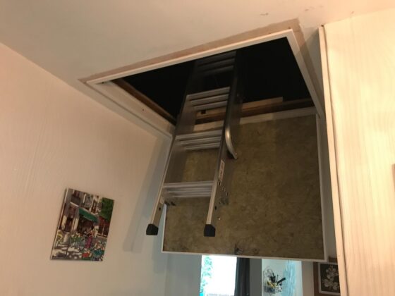 Loft ladder fitted and lowered onto the landing